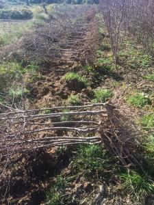 photo_2017-01-30_17-44-34